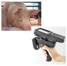 東莞得利捷讀碼器 東莞得利捷讀碼器